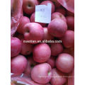 china fresh apple